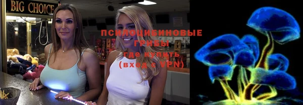 дживик Алексеевка